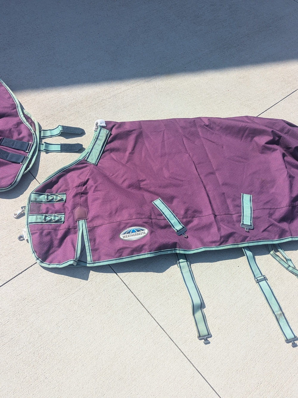 WeatherBeeta Premier Freedom Pony Detach-A-Neck Purple Medium Horse Blanket Like